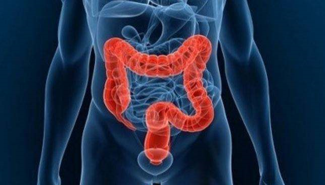 胶原蛋白对胃肠消化系统的改善.png