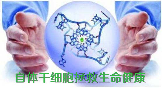 自体干细胞的优势.jpg