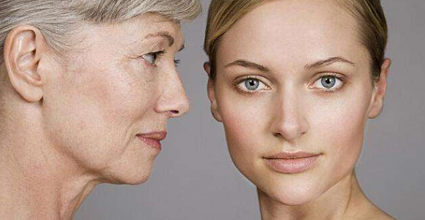 女性皮肤衰老的关系.png