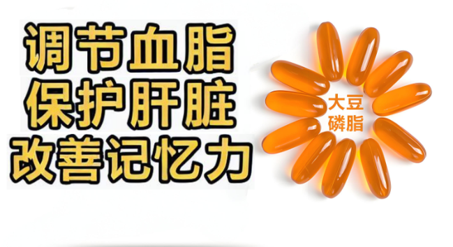 大豆磷脂软胶囊.png