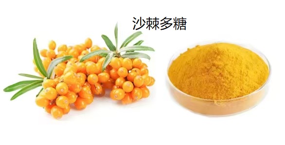 沙棘多糖.jpg