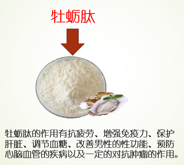 牡蛎肽.png