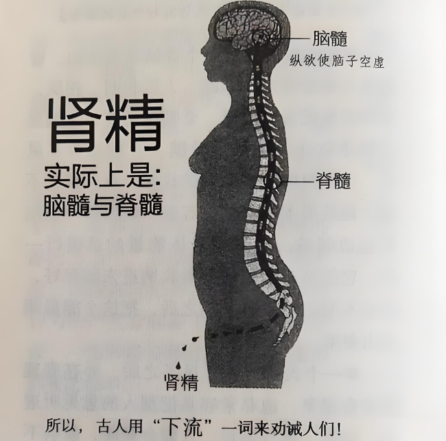 乾坤髓疗法.png