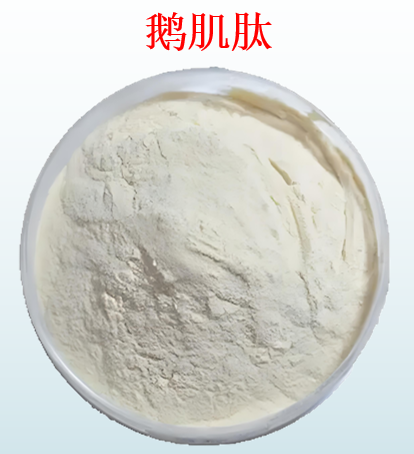 鹅肌肽.png